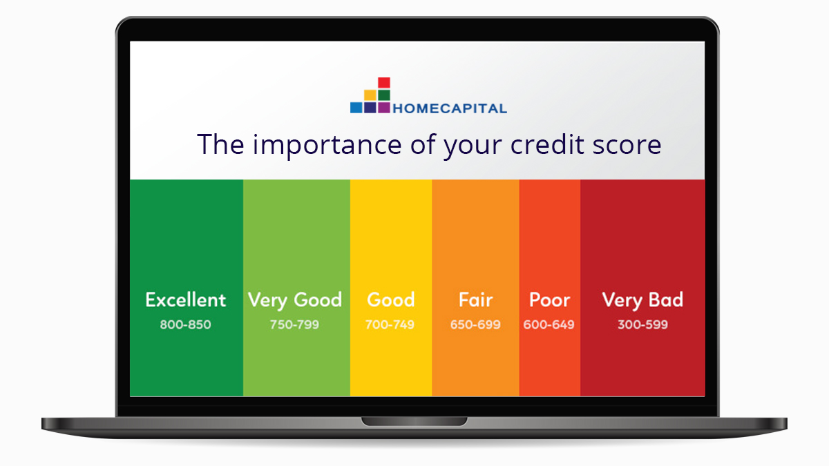 The importance of your credit score
